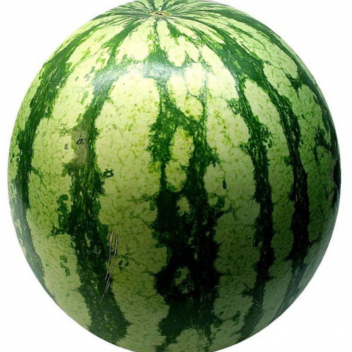 melon